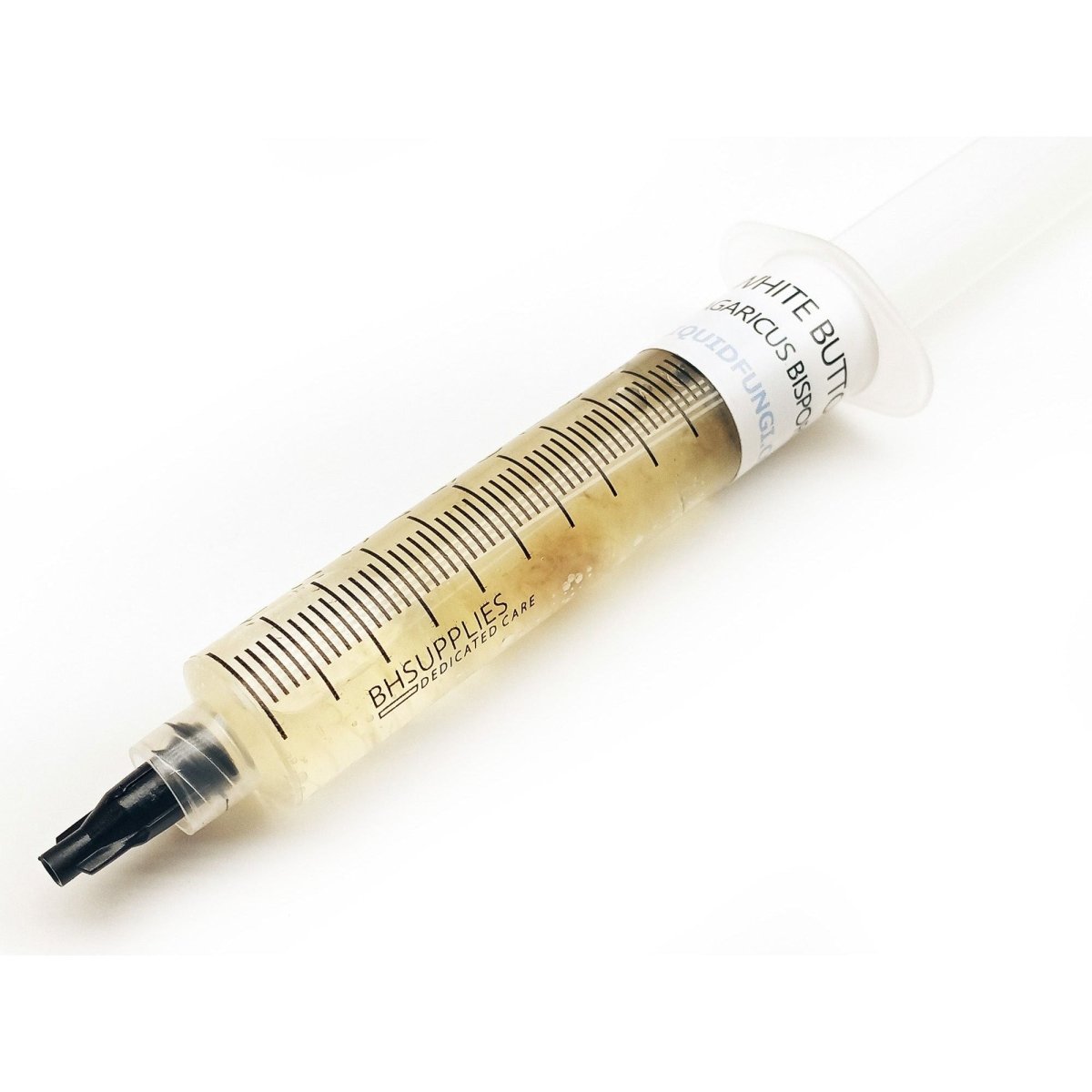 Agaricus bisporus white button mushroom liquid culture 