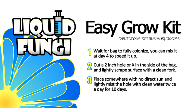 Blue Oyster Easy Mushroom Grow Kit