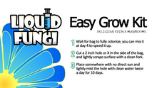 Load image into Gallery viewer, Lion&#39;s Mane Easy Mushroom Grow Kit