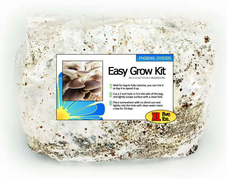 Italian Oyster Easy Mushroom Grow Kit