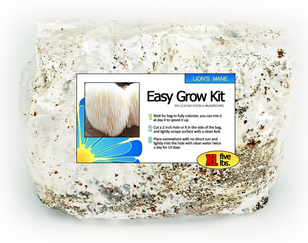 Lion's Mane Easy Mushroom Grow Kit