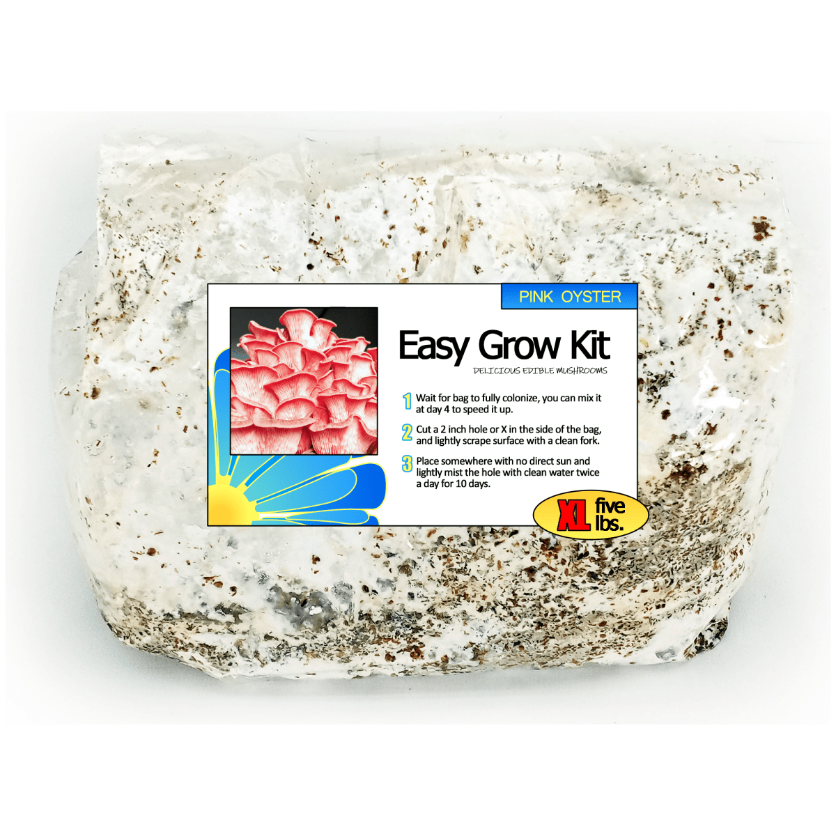 Pink Oyster Easy Mushroom Grow Kit
