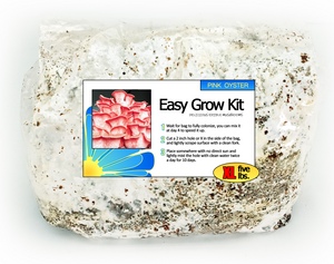 Pink Oyster Easy Mushroom Grow Kit