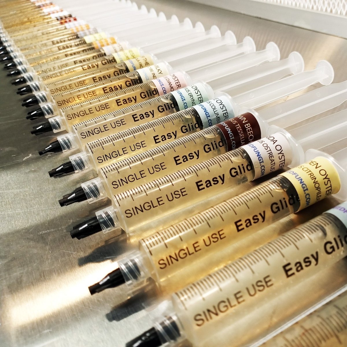 mushroom liquid culture syringes