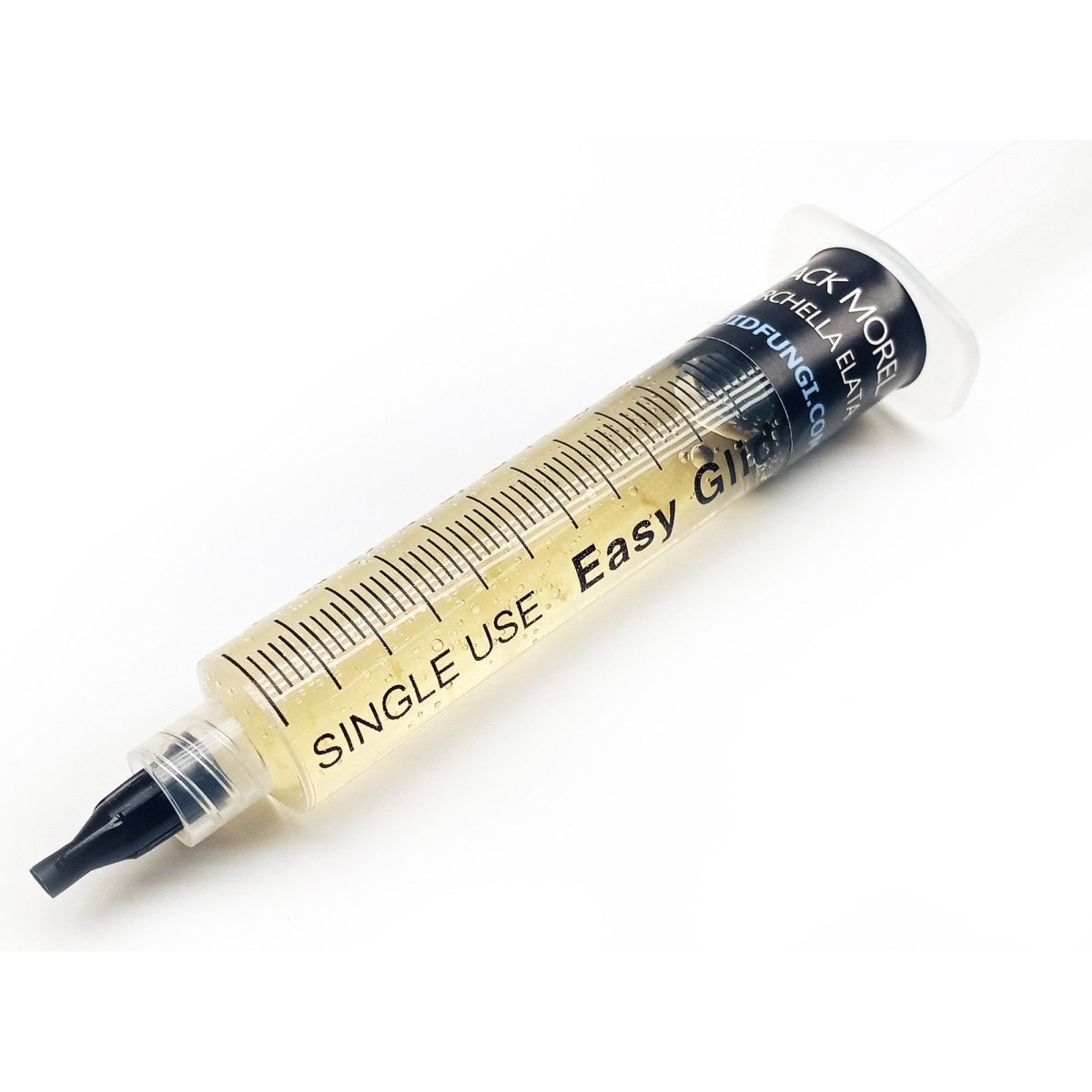 black morel mushroom liquid culture