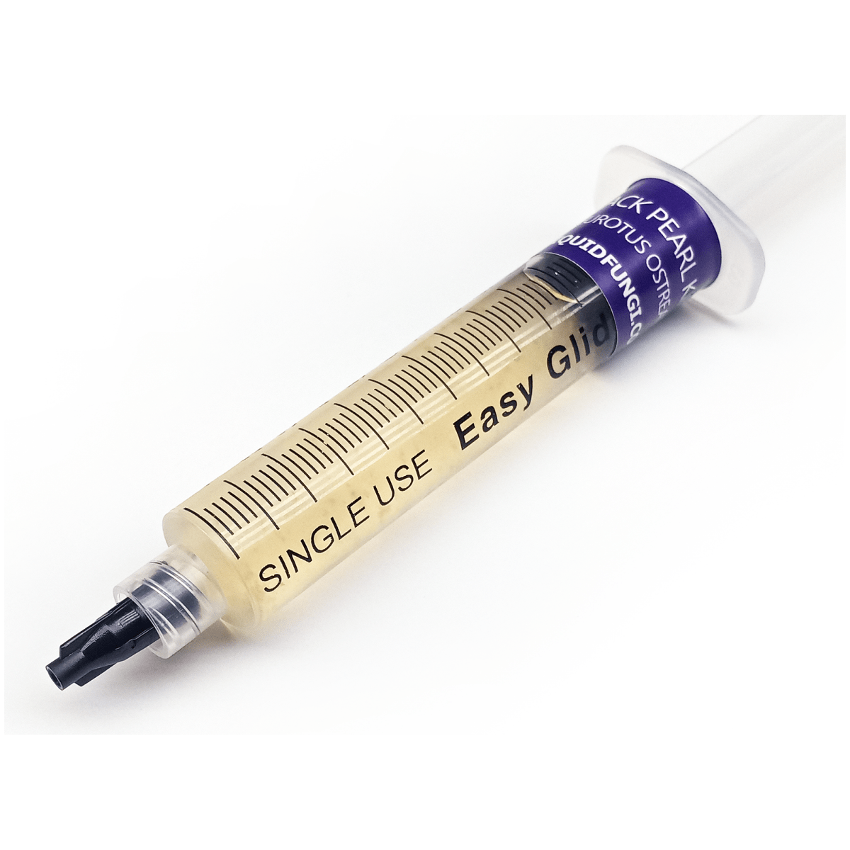 black pearl king oyster liquid mushroom culture