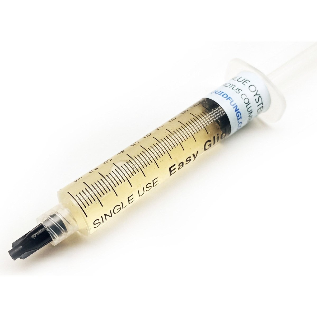 blue oyster mushroom liquid culture