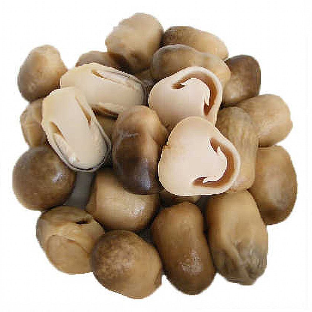 paddy straw mushrooms on white background