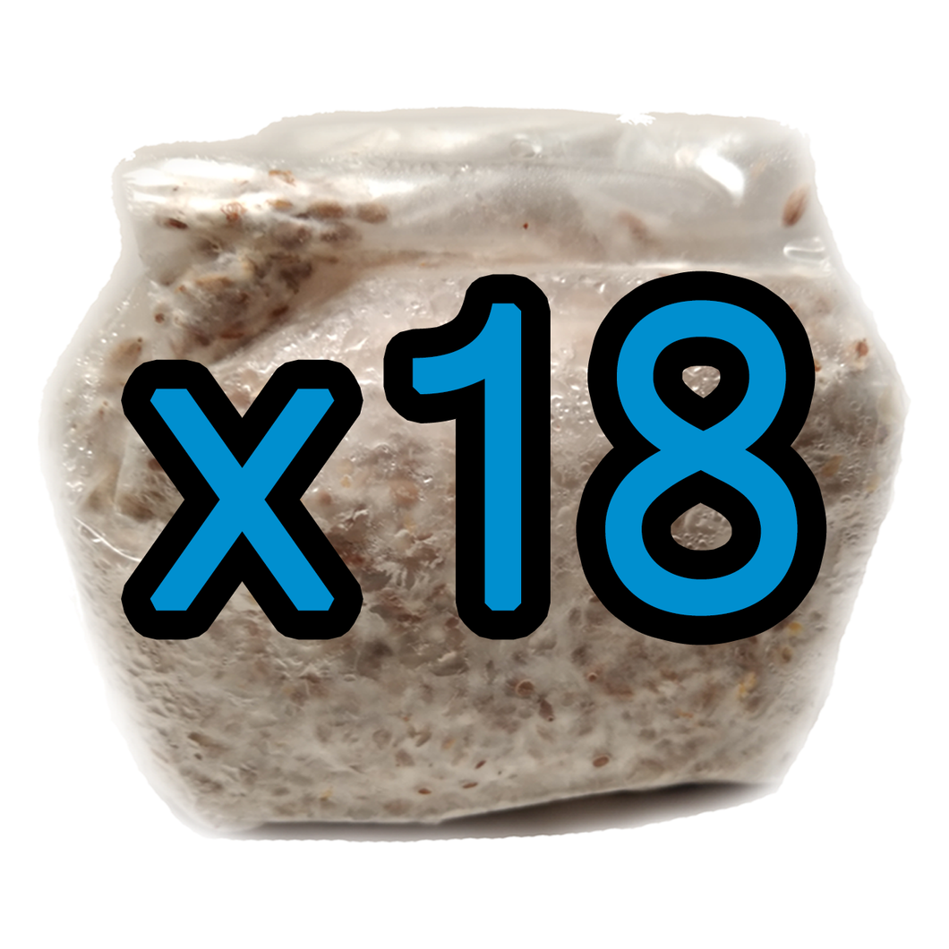 18 Pack of 1 lb. Mushroom Grain Spawn