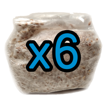 Load image into Gallery viewer, 6 Pack of 1 lb. Mushroom Grain Spawn