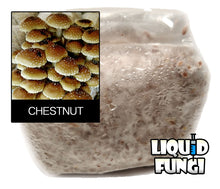 Load image into Gallery viewer, Chestnut Mushroom Grain Spawn (1 pound)