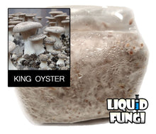 Load image into Gallery viewer, King Oyster Grain Spawn