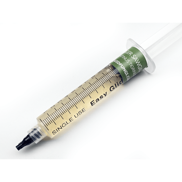 tiger sawgill mushroom liquid culture syringe