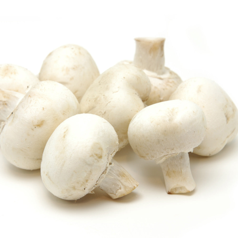 Mushroom - White