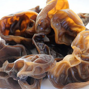 wood ear mushroom liquid culture syringe